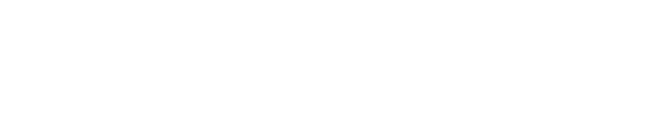 AnyBiz